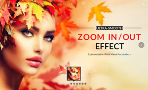 Zoom Effect - Full Width - Bullets Navigation